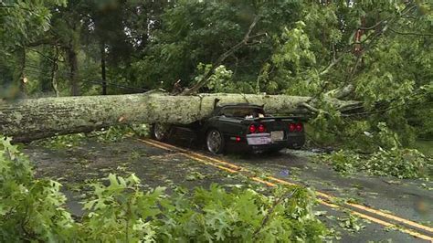 Tree falls on car in Douglas